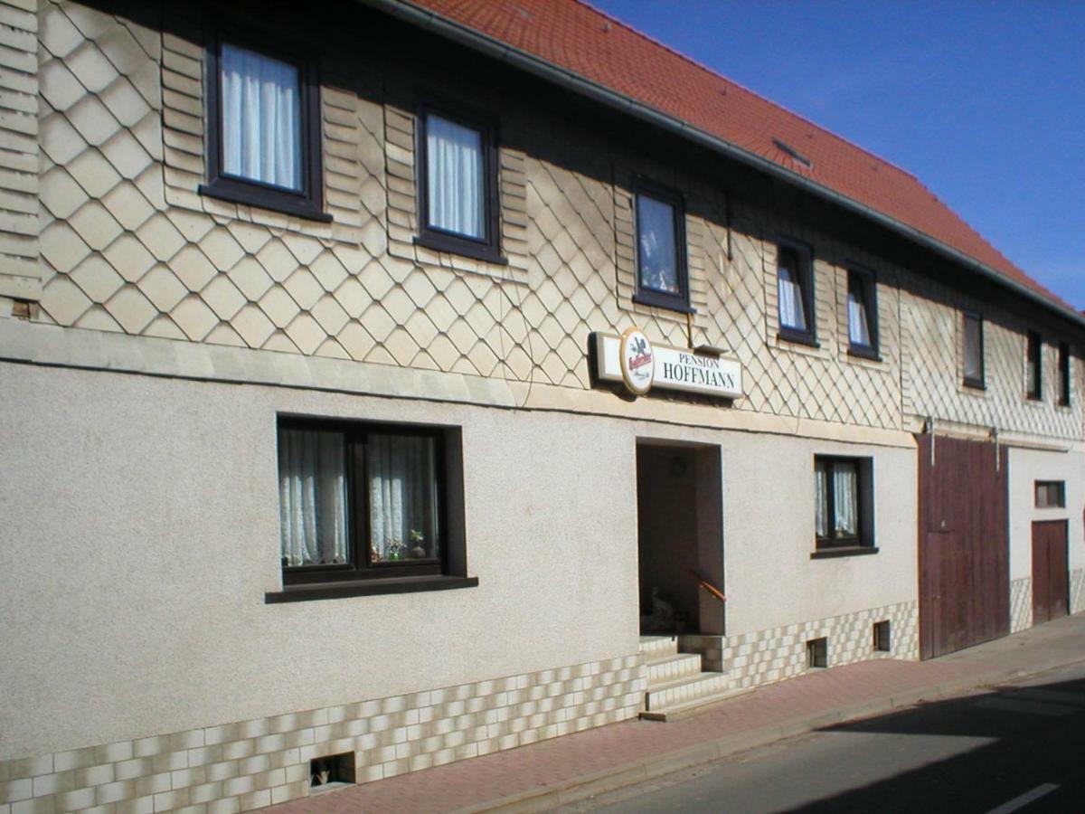 Pension Hoffmann Trebra Exterior foto